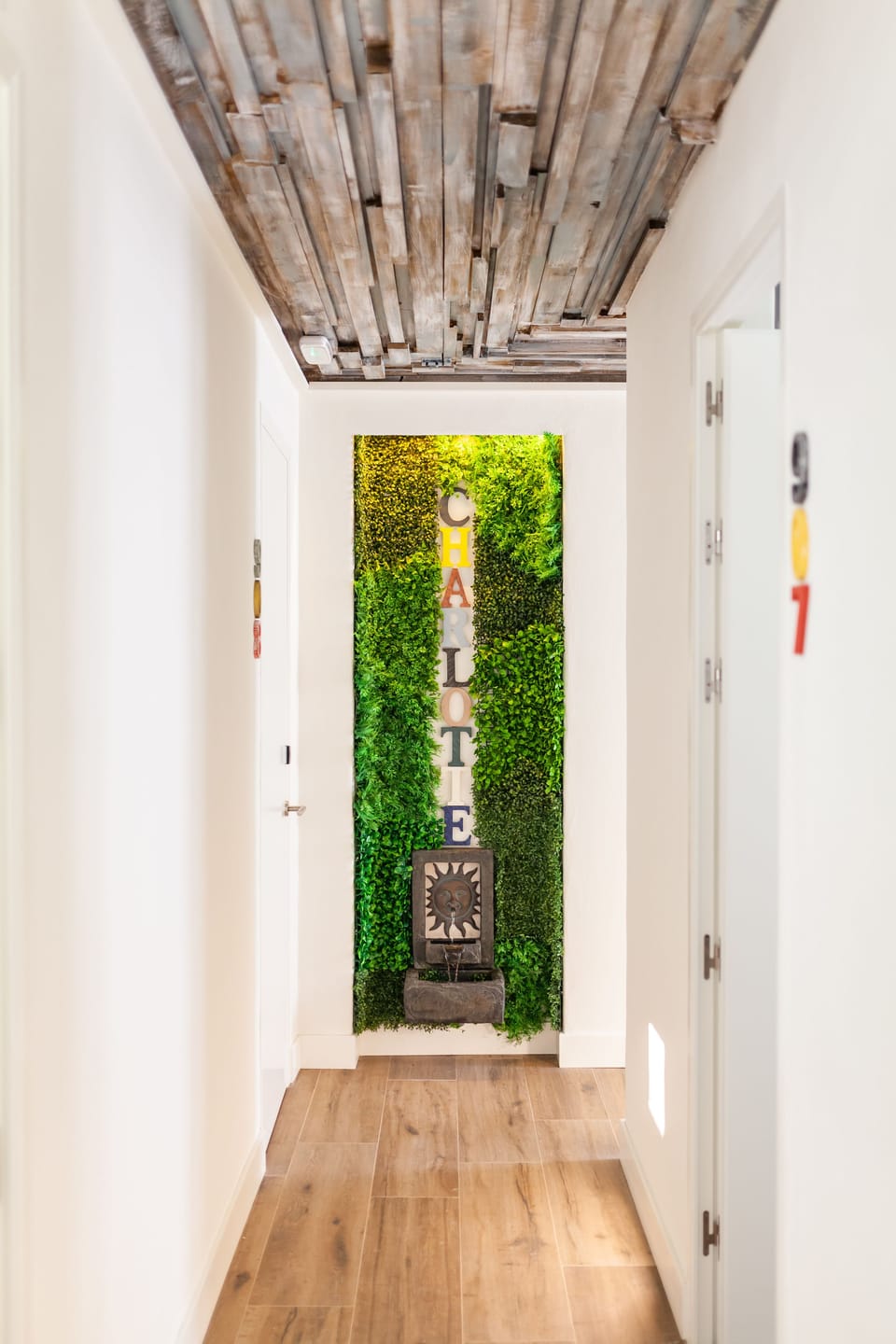 Hostal Charlotte Hostel in Centro