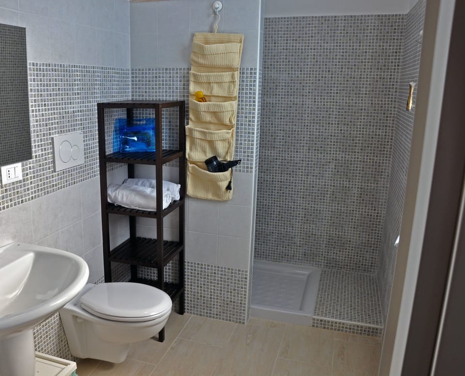 Standard Double Room | Bathroom | Shower, free toiletries, hair dryer, towels