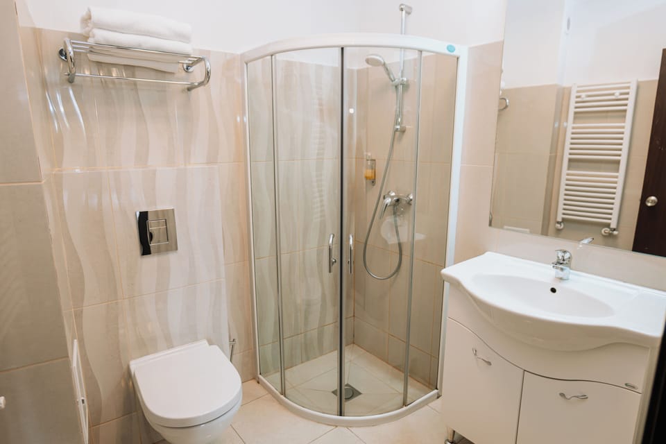 Classic Double Room | Bathroom | Shower, hair dryer, towels, shampoo