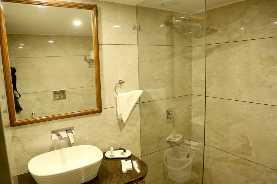 Deluxe Room | Bathroom | Shower, free toiletries, bidet, towels