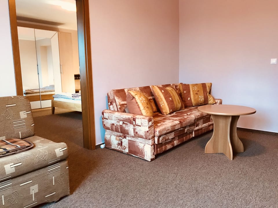 Comfort Apartment, 2 Bedrooms, Balcony, City View | Living area | Flat-screen TV