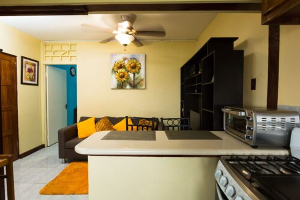 Executive Apartment, 1 Bedroom, Mountain View | Living area | 50-inch flat-screen TV with cable channels, TV, DVD player