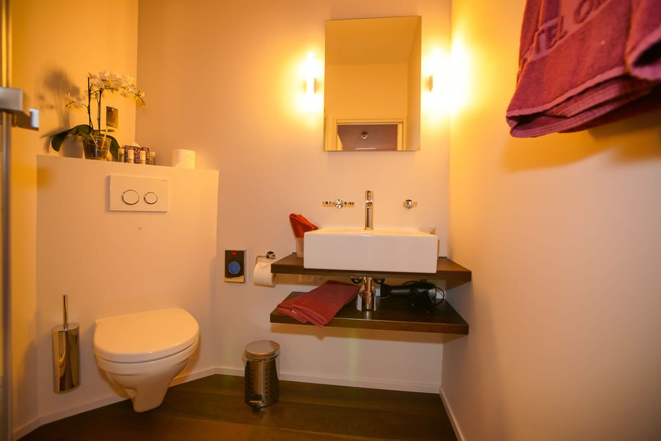 Design Triple Room | Bathroom | Shower, free toiletries, hair dryer, slippers