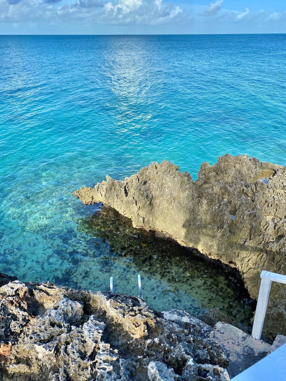 Your very own private swimming pool and amazing underwater aquarium await you!