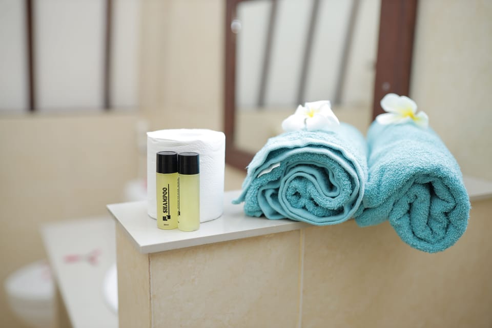 Shower, free toiletries, towels
