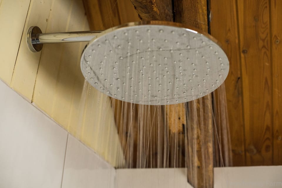 Standard Double Room (The Acorn Loft) | Bathroom shower