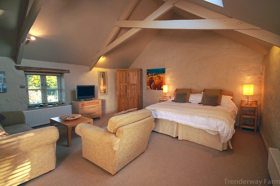 Deluxe Double or Twin Room (The Granary) | Egyptian cotton sheets, premium bedding, free minibar items