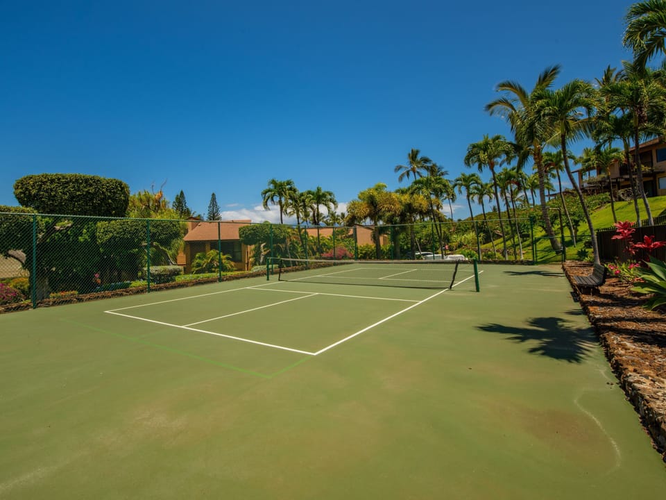 Tennis court