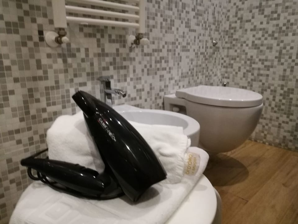 Shower, free toiletries, hair dryer, slippers