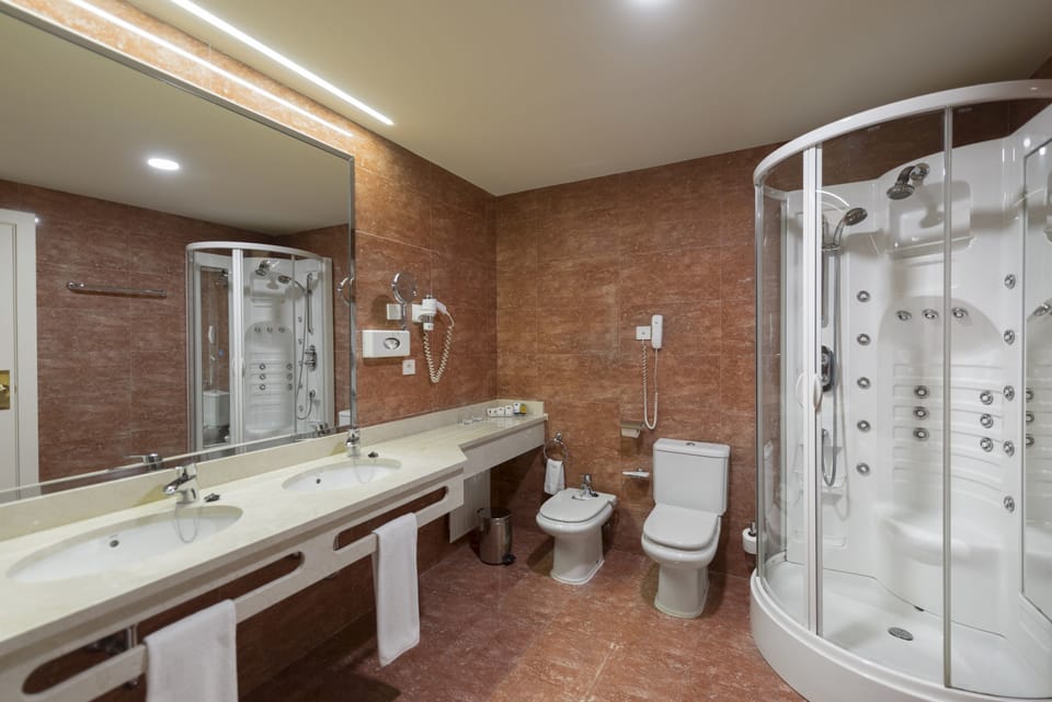 Hair dryer, bidet, towels