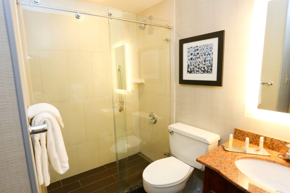 Combined shower/tub, free toiletries, hair dryer, towels