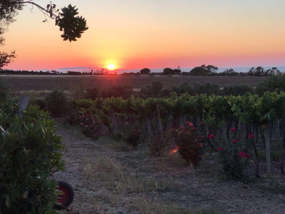 Winery
