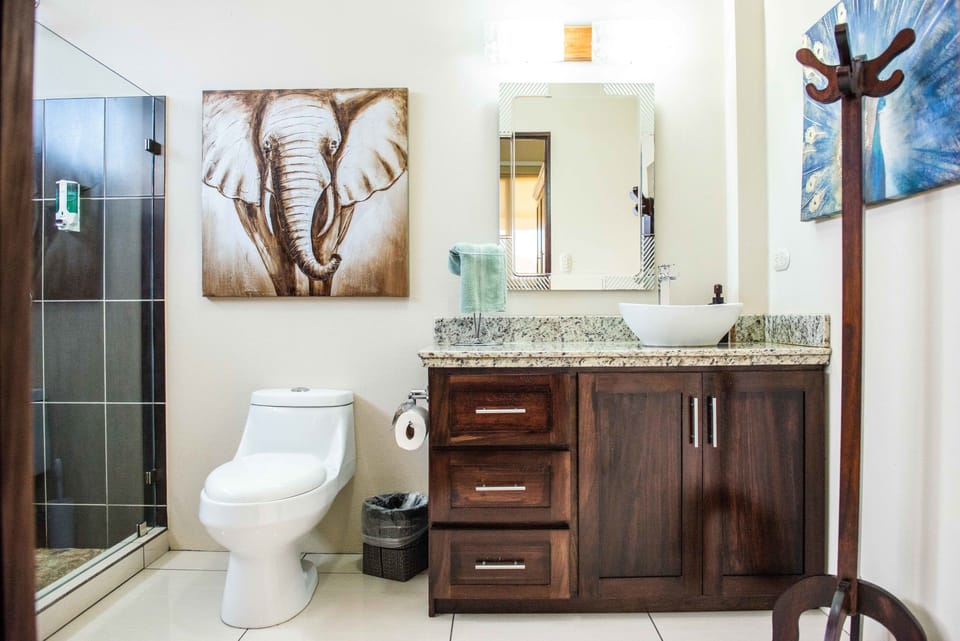 Two Bedroom Suite with Terrace, Mountain View | Bathroom | Shower, free toiletries, hair dryer, towels