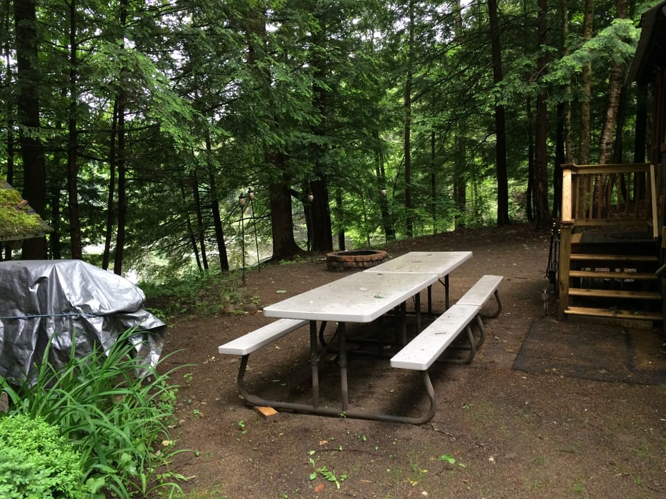 Backyard fire pit, double picnic tables & gas grill over looking the pond.