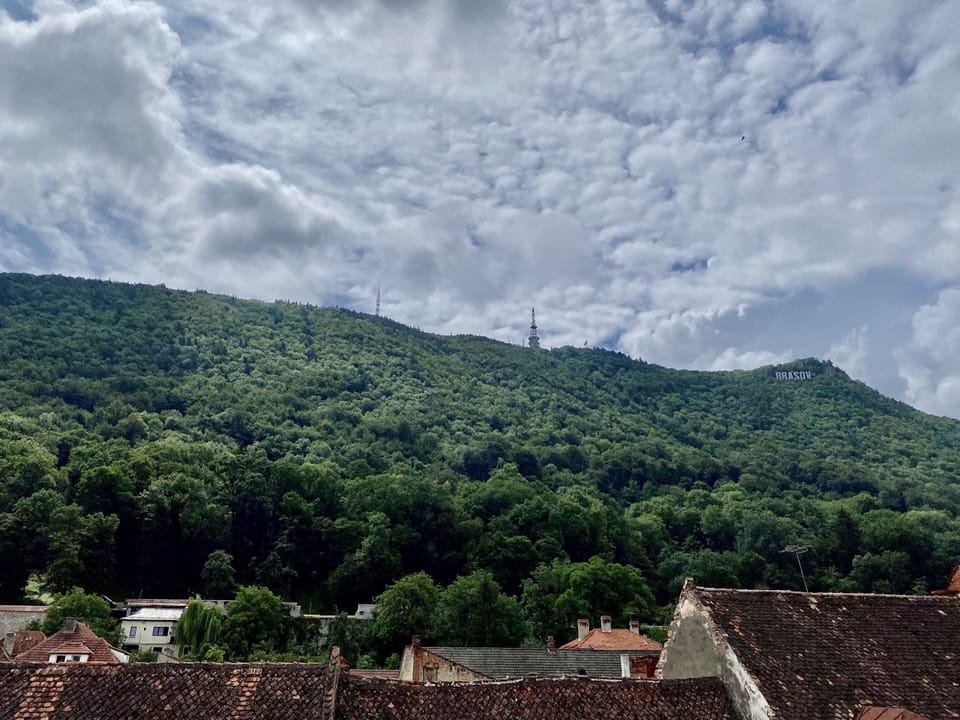 Mountain view
