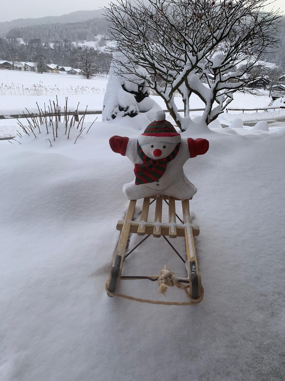 Snow and ski sports