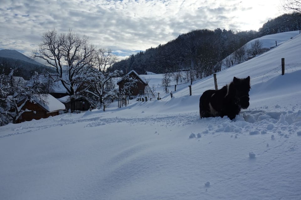Snow and ski sports