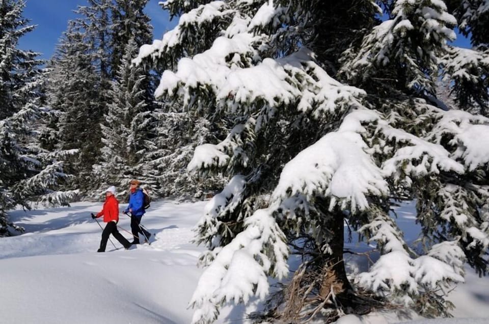 Snow and ski sports