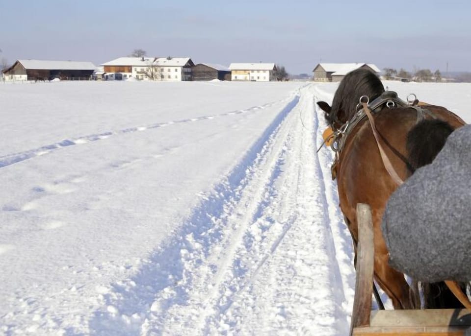 Vacation apartment Amelie, 70 sqm, balcony, 2 bedrooms Apartment in Bavaria