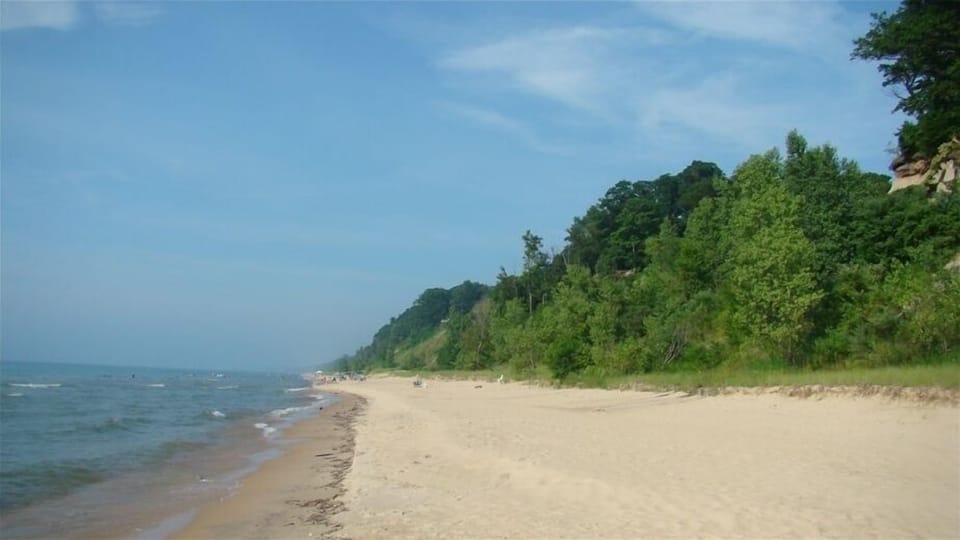 Beach Looking North