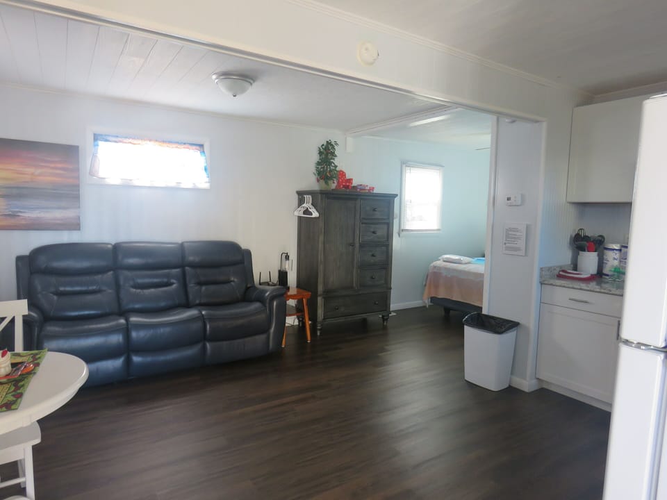 Leather, reclining couch 