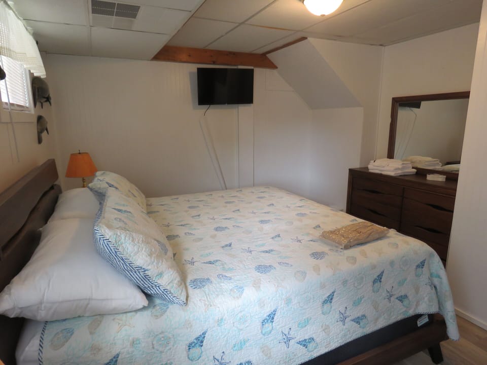 "The Manatee Room" also has a smart tv