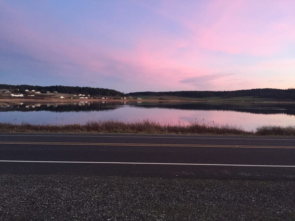 View of Swan Lake from front of house