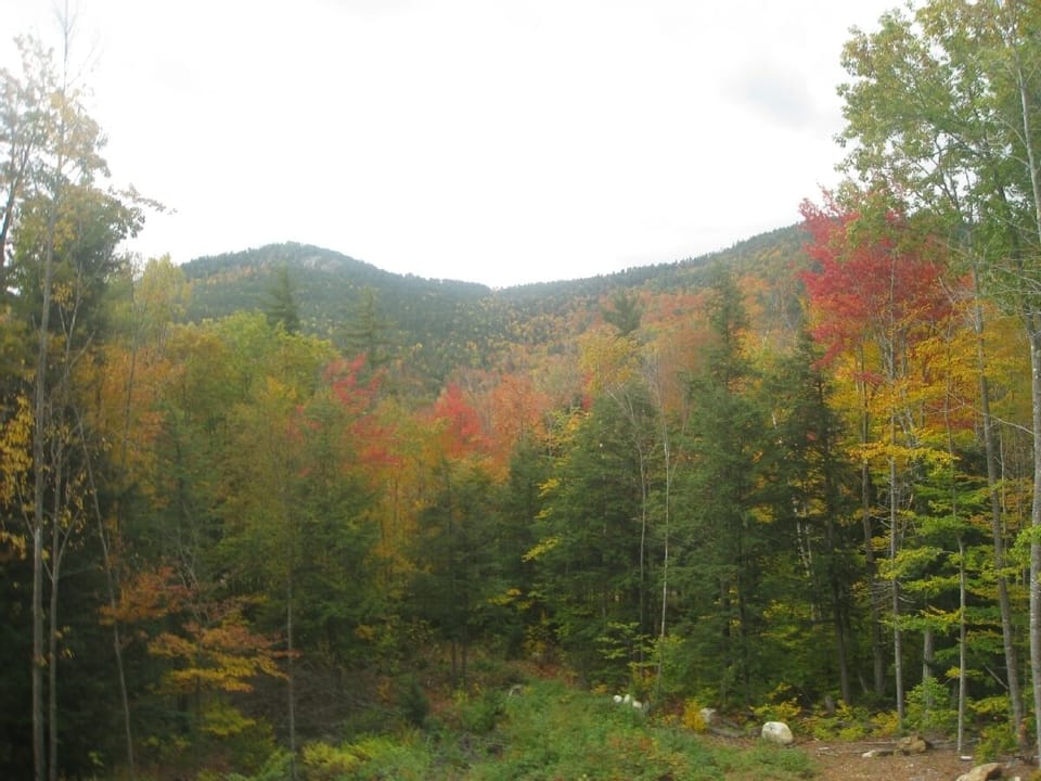 Enjoy fall colors from the house.