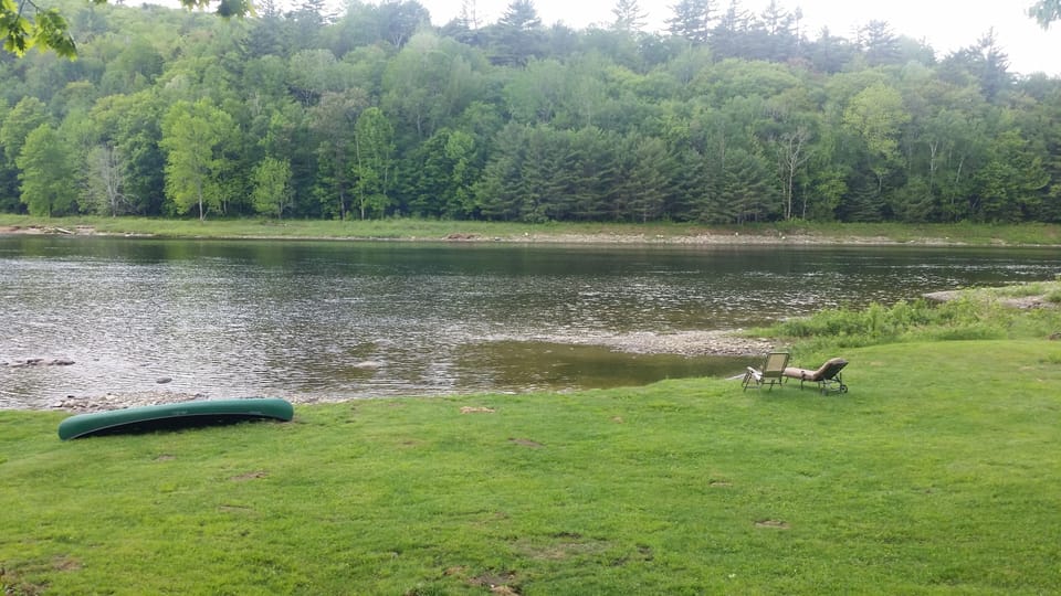 backyard/beach view