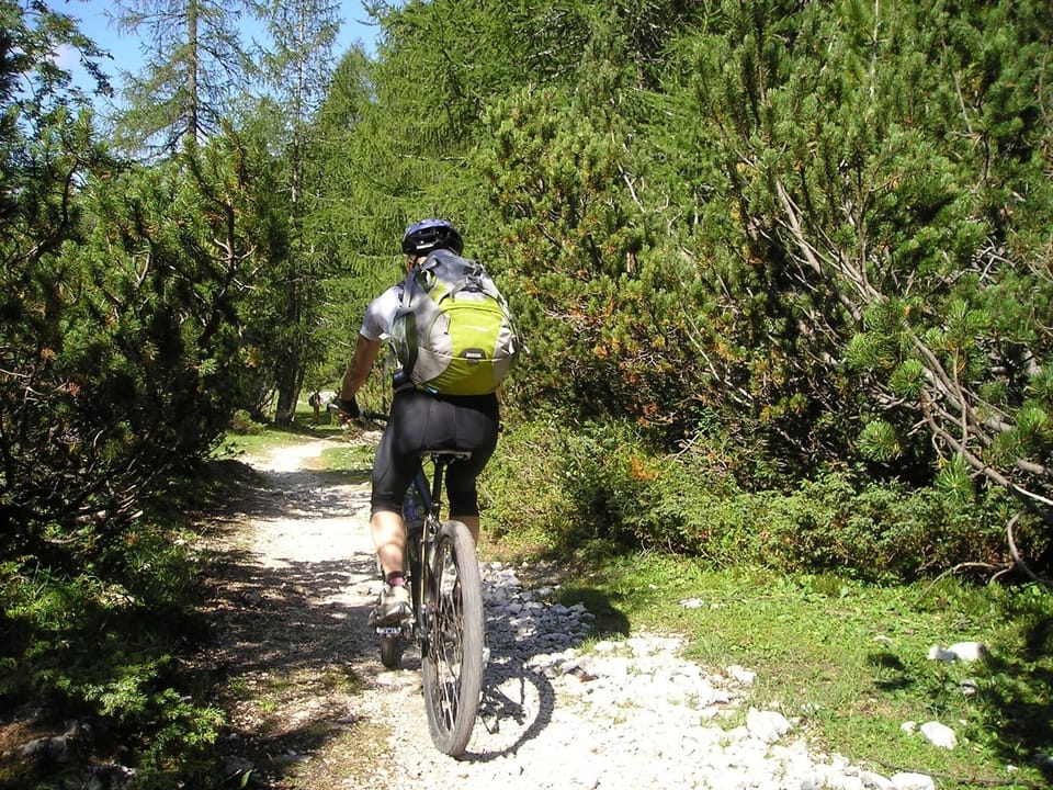 Loving the outdoors!  Bike at the ski resorts.