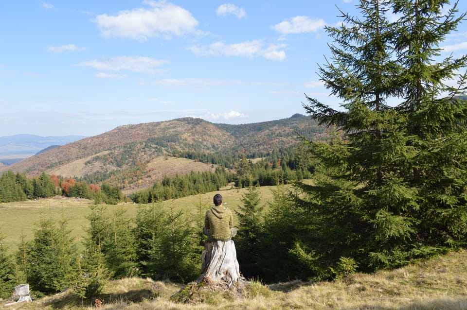 Choose from the many hiking trails