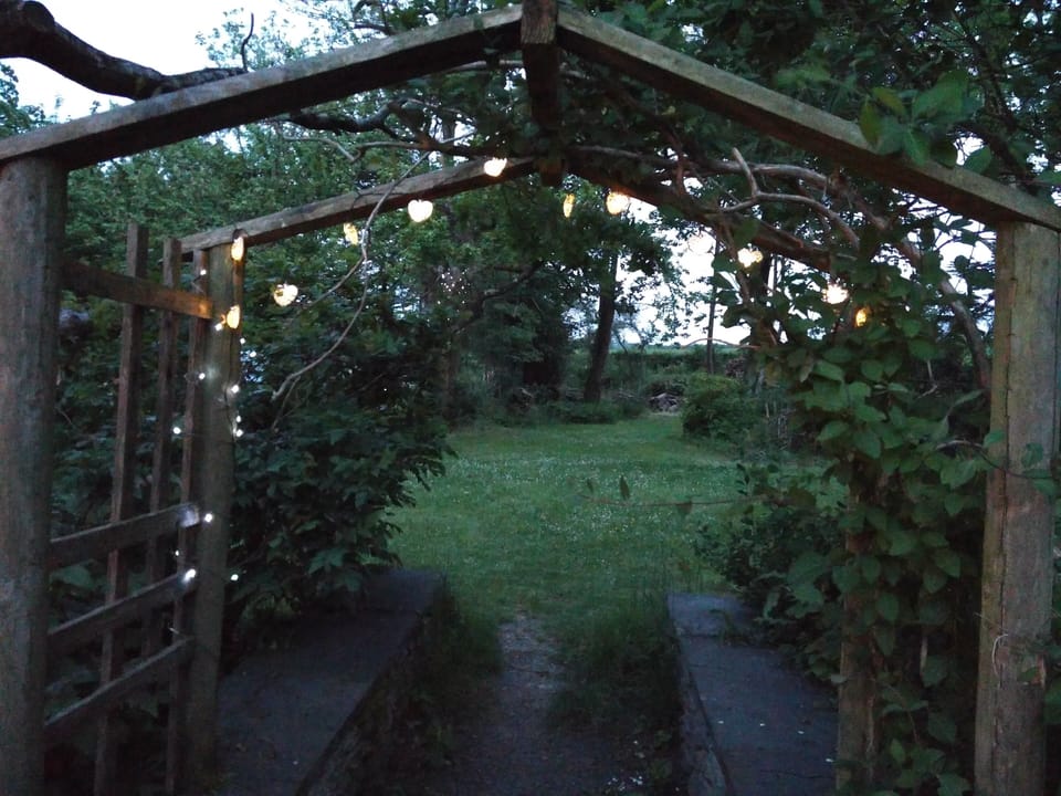 Take a walk into the garden