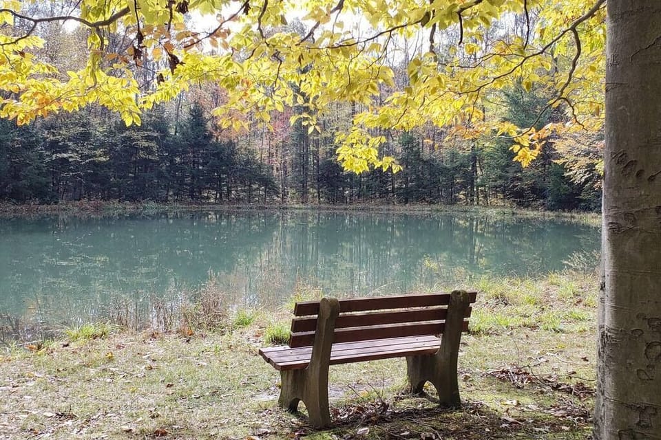 Imagine the peacefulness... 