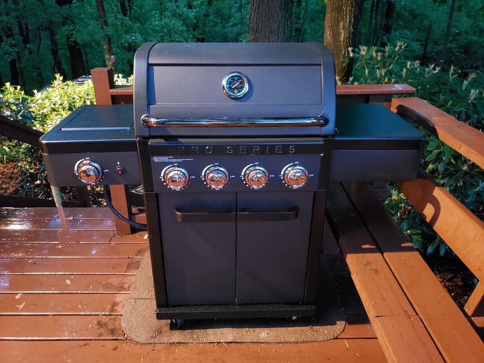 4-burner propane grill (propane included)