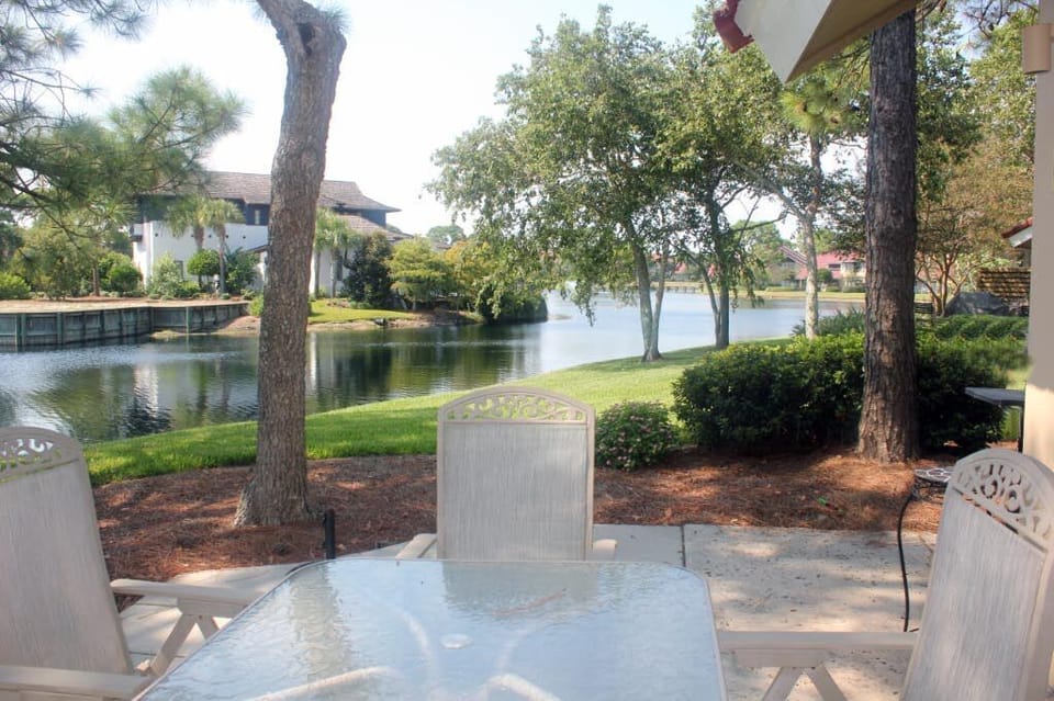 View from patio