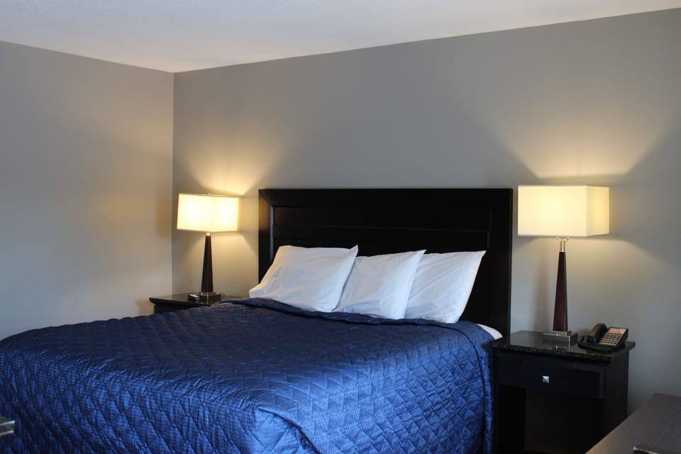 Standard Room, 1 King Bed, Non Smoking | Desk, free WiFi