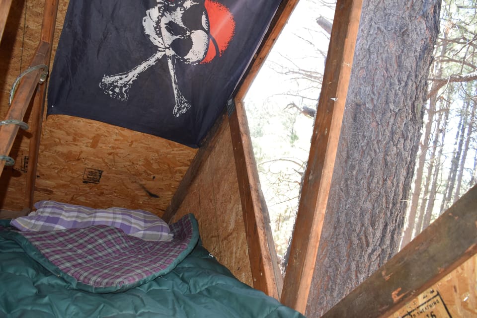 loft in treehouse