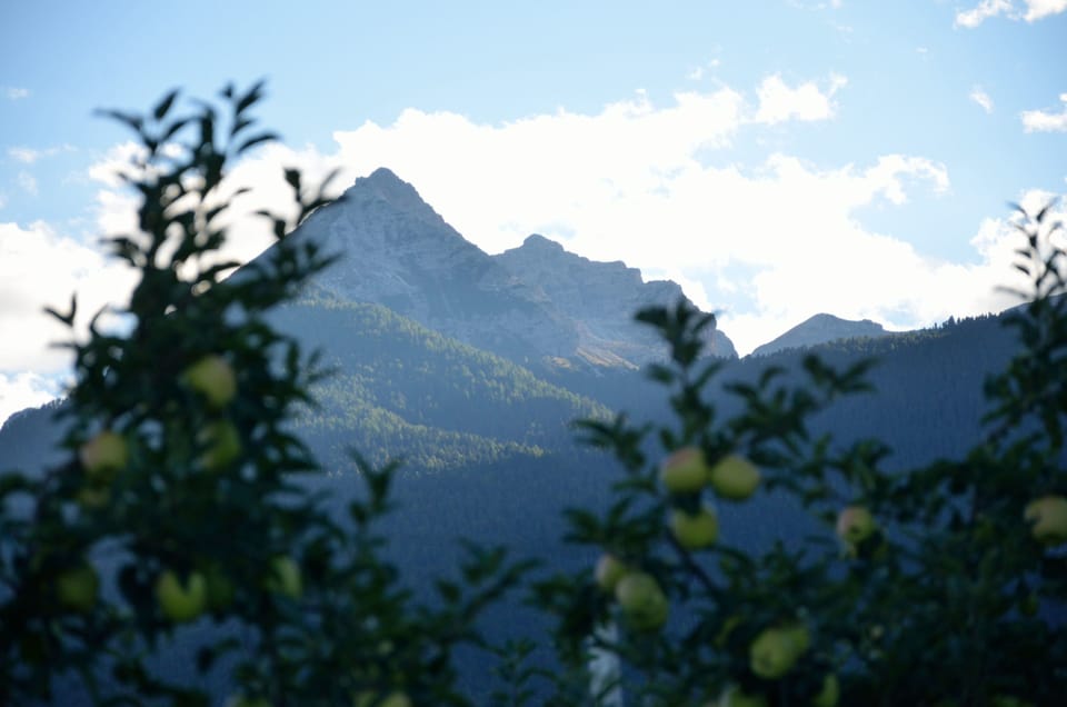 Mountain view