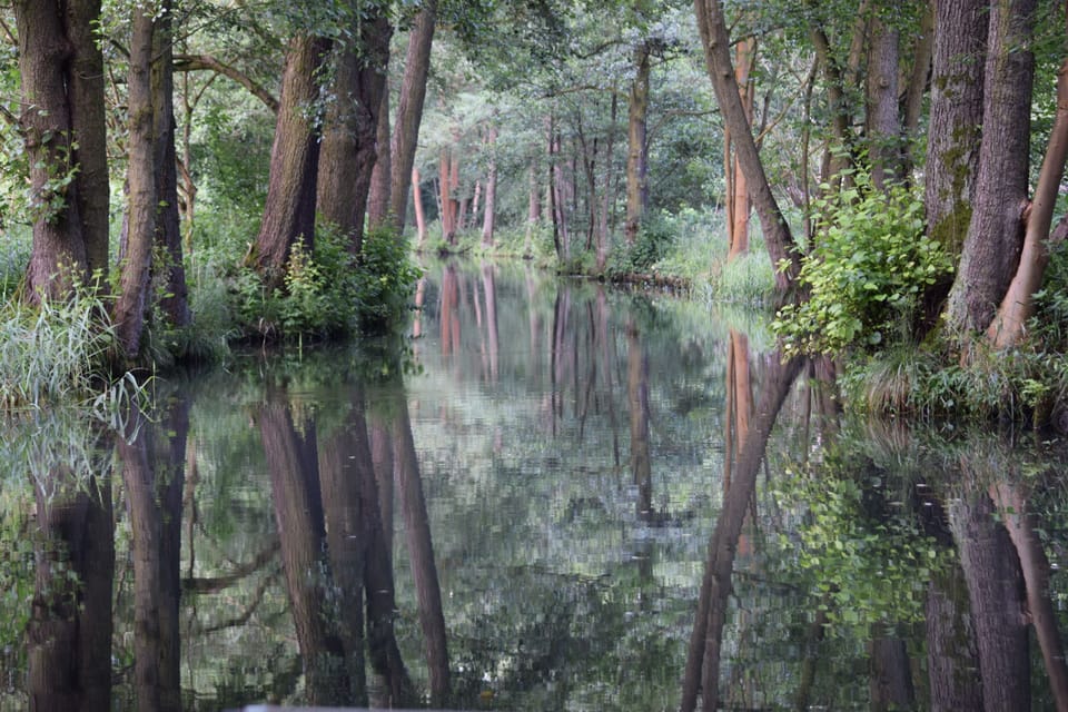Lake