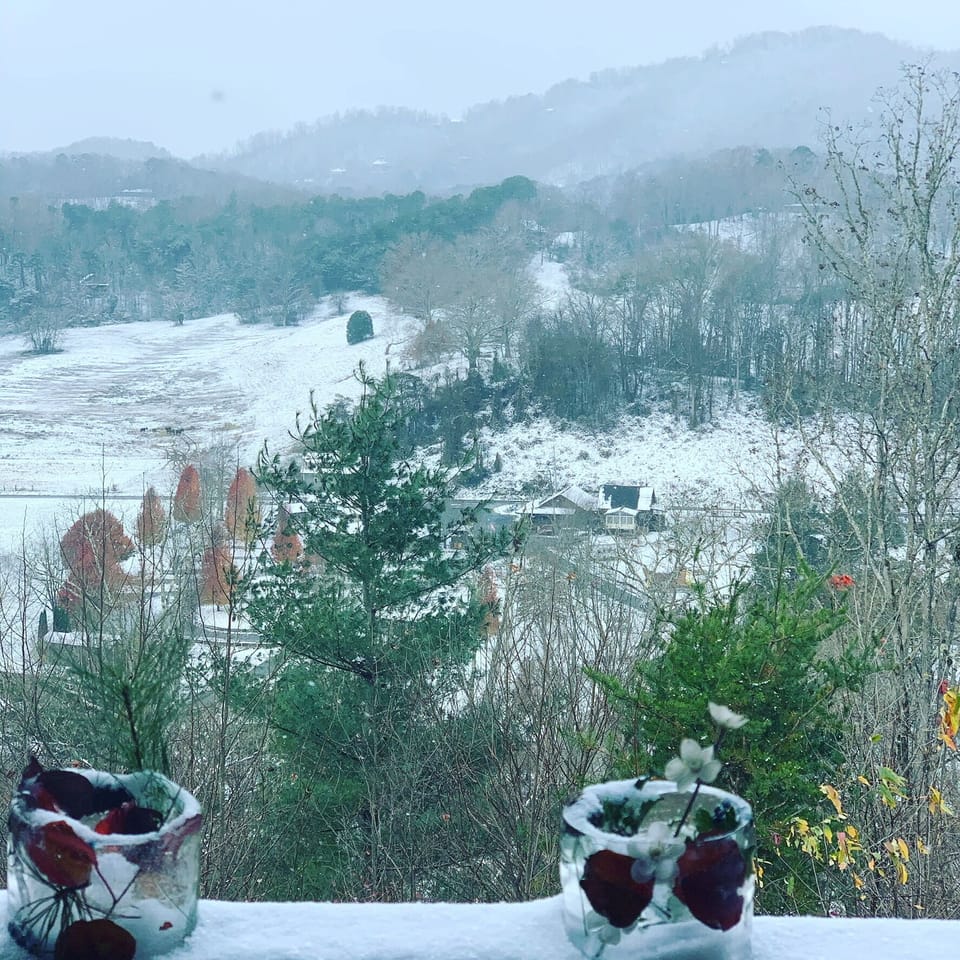 Snowfall view 