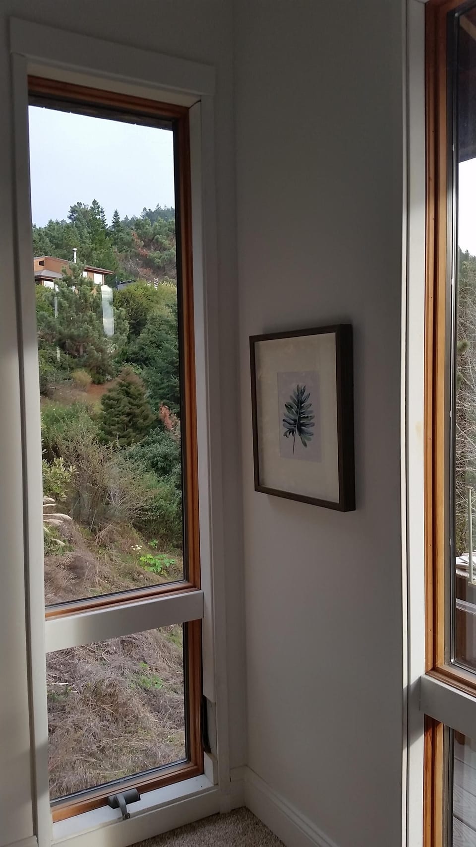 Large windows in every room flood this home with light.