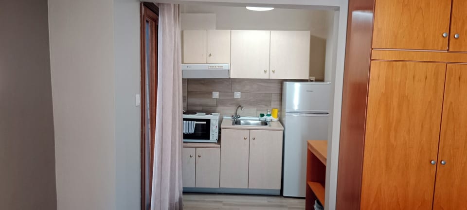 Standard Studio, 1 Bedroom, Kitchen, Mountain View | Private kitchen | Electric kettle