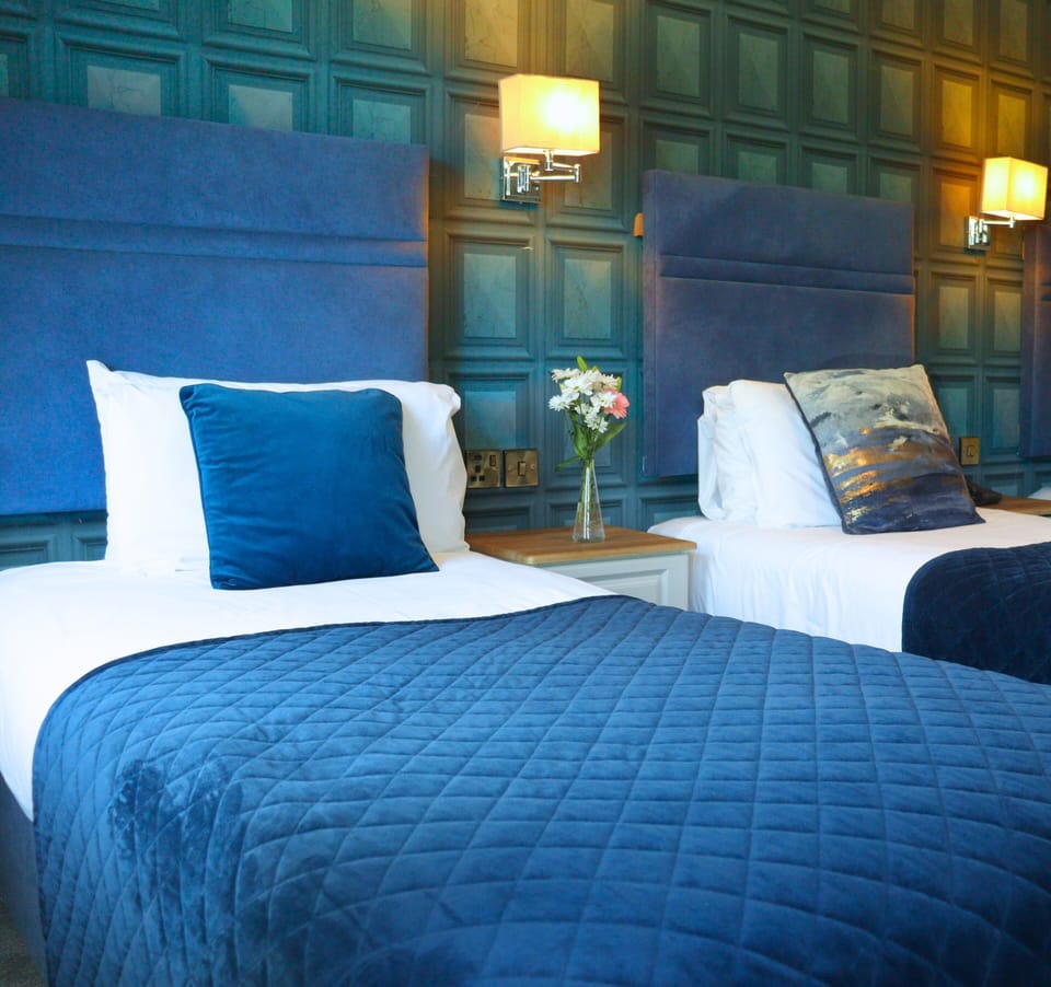 Deluxe Twin Room | Desk, iron/ironing board, free WiFi