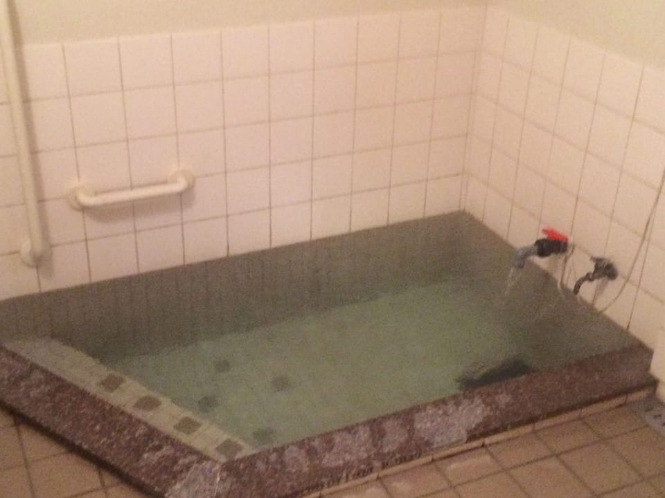 Natural pool