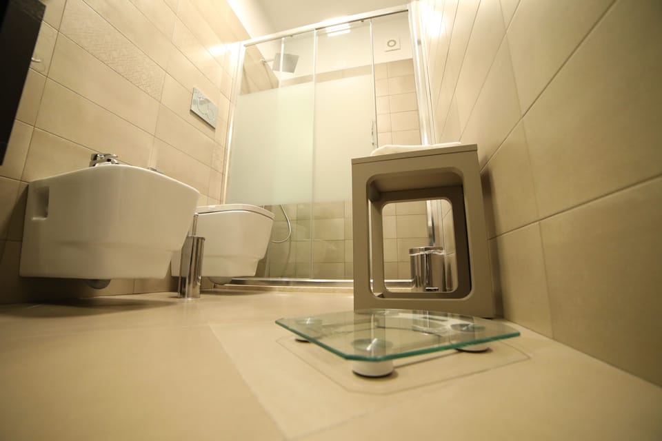 Shower, free toiletries, hair dryer, bathrobes
