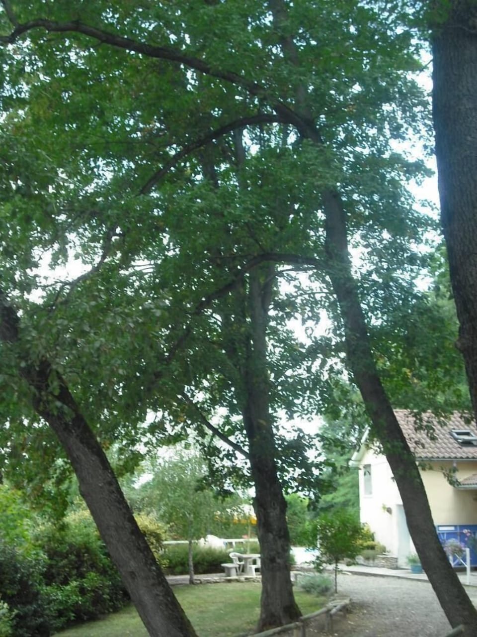 Garden, Park