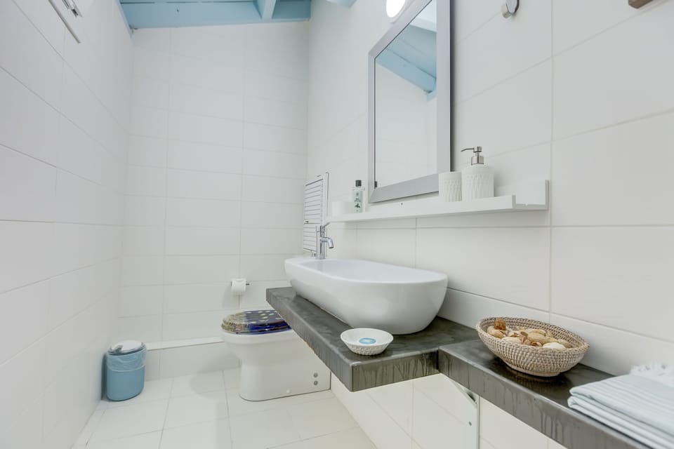 Exclusive Room | Bathroom | Shower, free toiletries, hair dryer, slippers