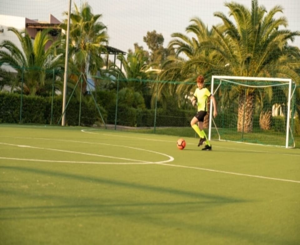 Sport court