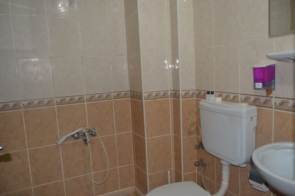 Shower, free toiletries, hair dryer, slippers