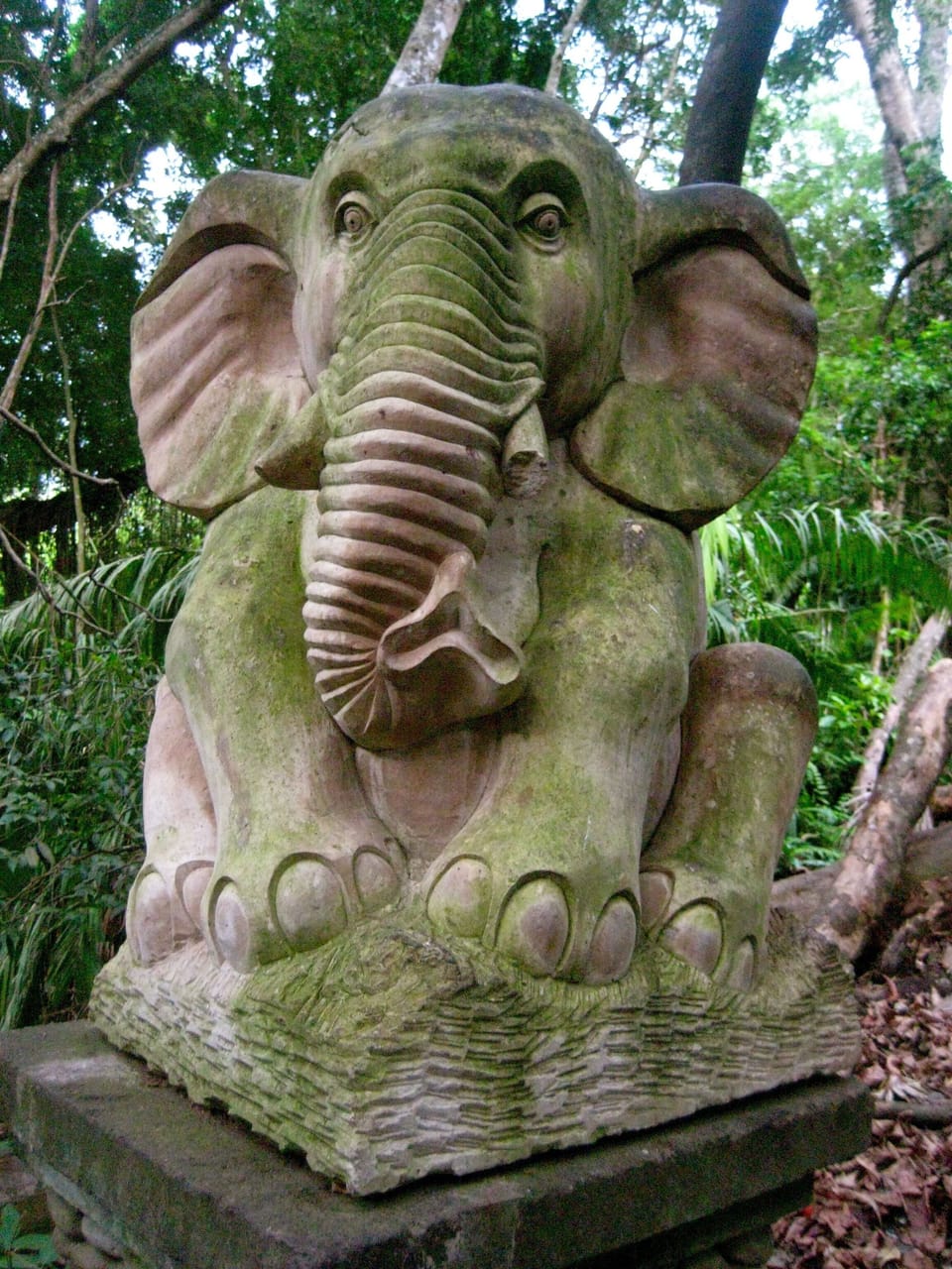 One of our favorite creatures on the planet. Wish our 47 acres could  support 1 